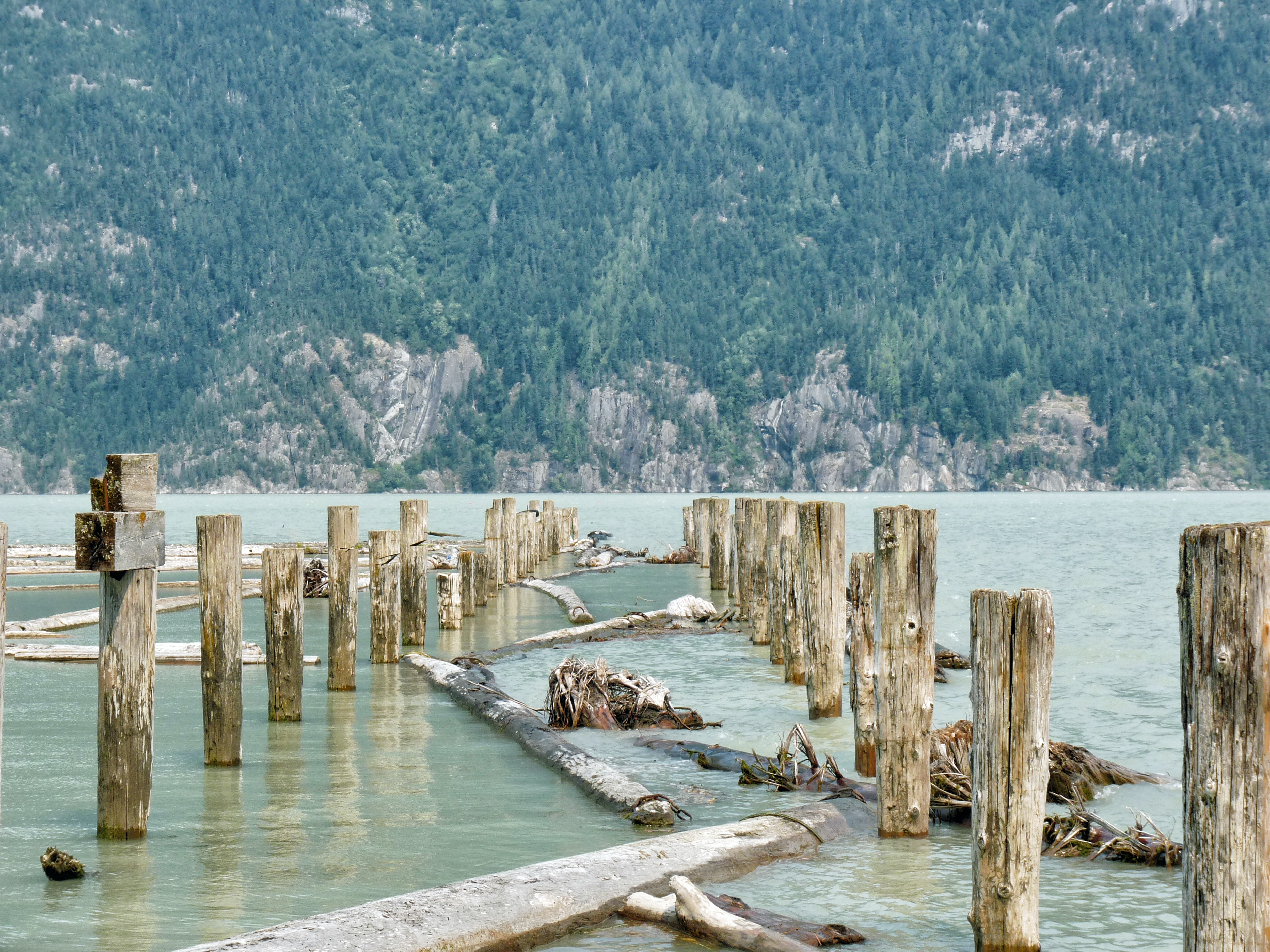 Bella Coola Harbour